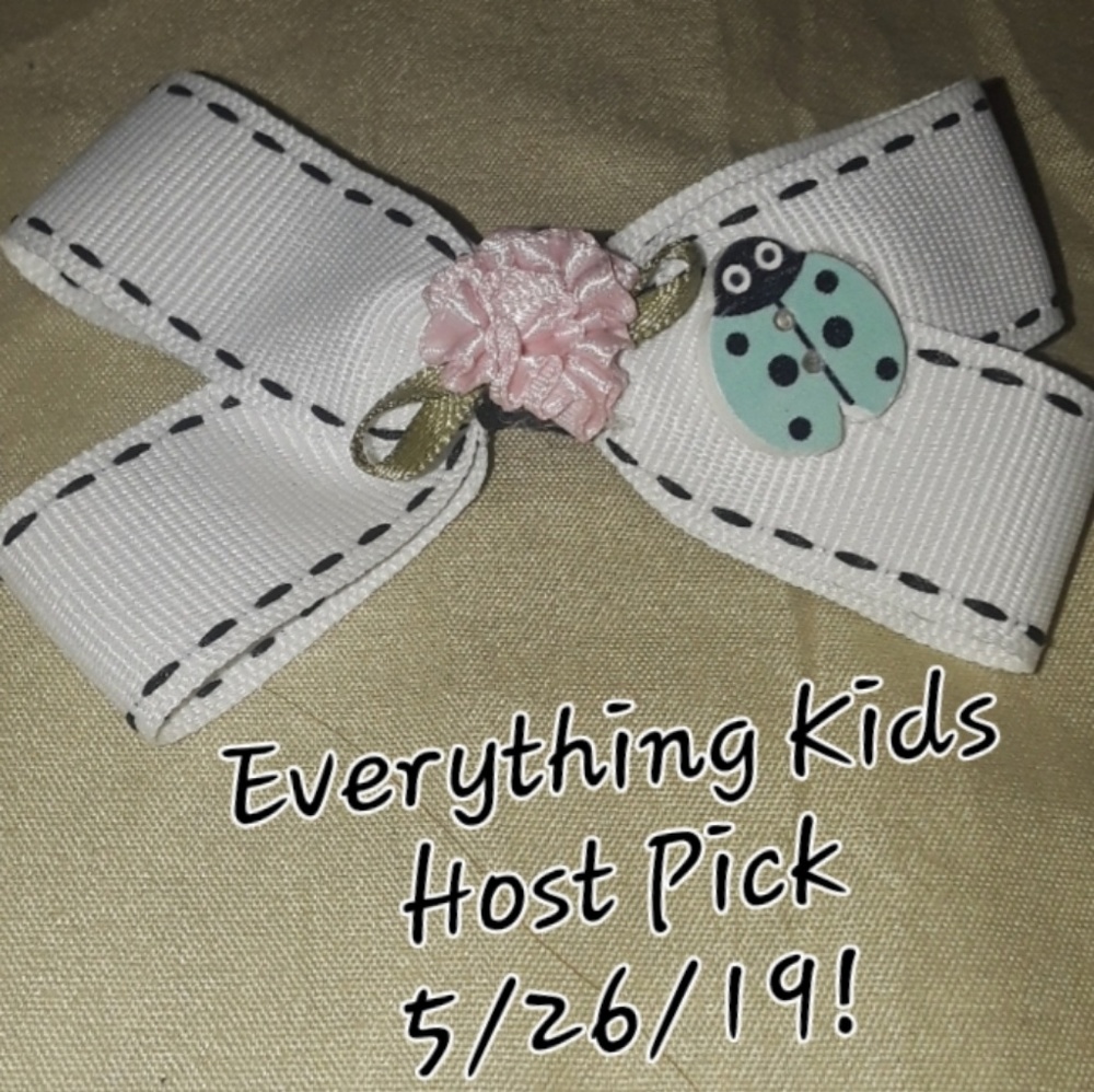 Handmade Small 4" Hairbow Black Blue Ladybug Pink